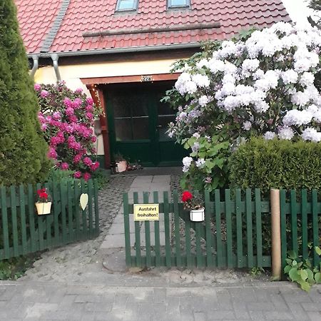 Villa Harzglück Thale Exterior foto